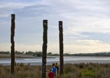 Pandora Walkways- Ahuriri Estuary  