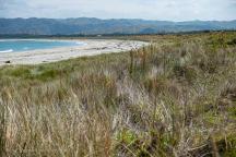 Mahia Beach 