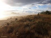 Waimarama Coast