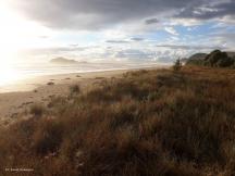 Waimarama Coast