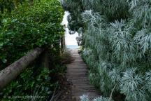 Board Walk to beach  Waimarama 