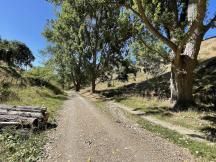 Track along Little Redwoods