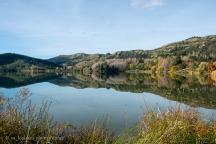 Lake Tutira