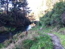 Maraetotara Stream 