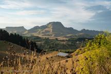 Farmland Te Mata 