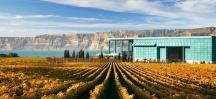 Elephant Hill Winery 