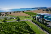 Elephant Hill Winery -Te Awanga 